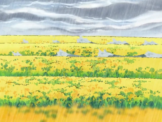 Episódio 08