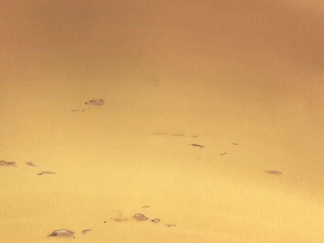 Episódio 14