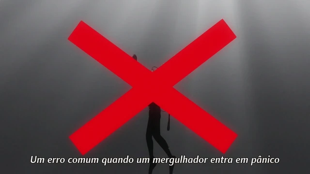 Episódio 81