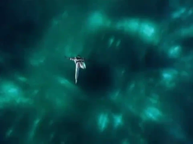 Episódio 01