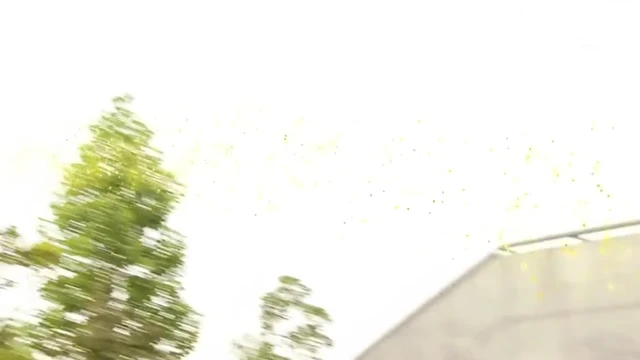Episódio 11