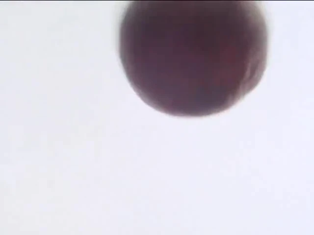 Episódio 11