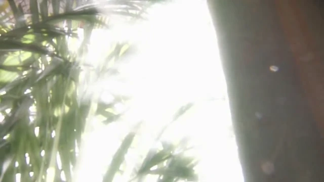 Episódio 22