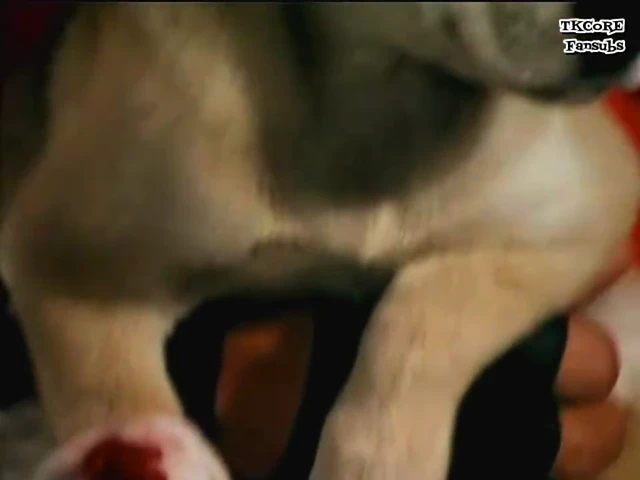 Episódio 24