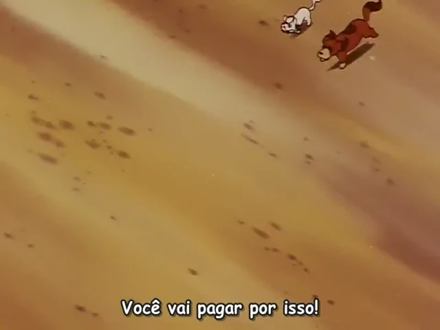 Episódio 11