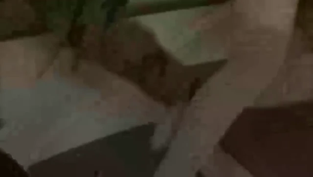 Episódio 03