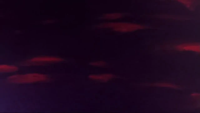 Episódio 39