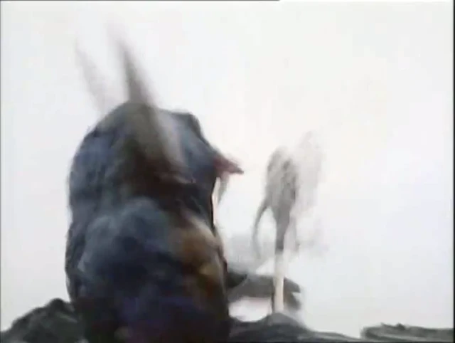 Episódio 42