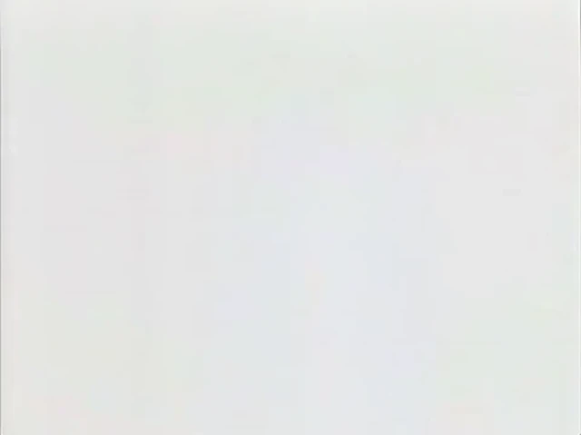 Episódio 31