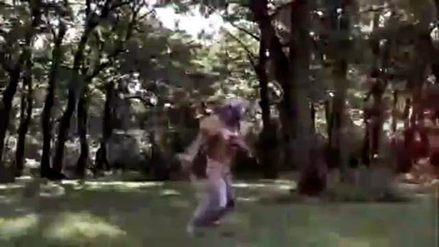 Episódio 13
