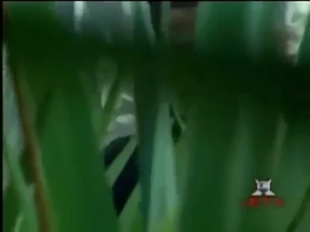 Episódio 03