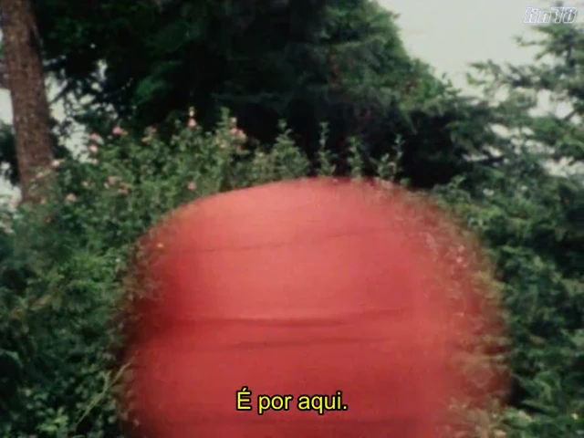 Episódio 13
