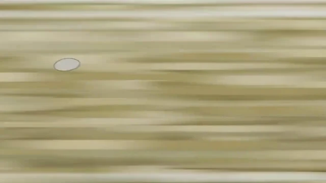 Episódio 37