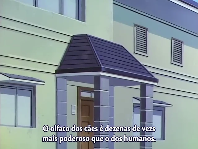 Episódio 233