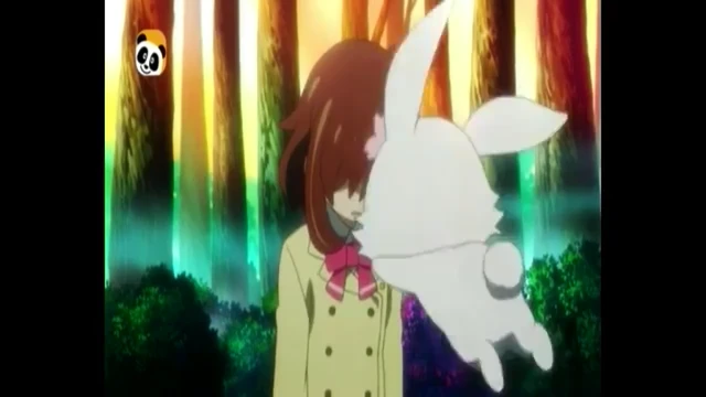 Episódio 51