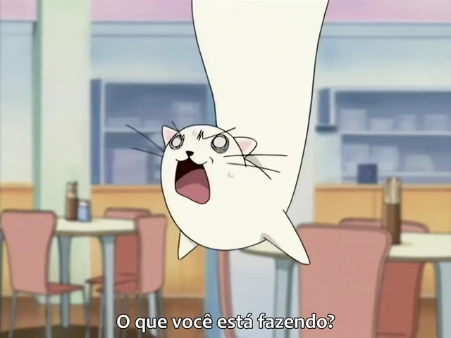 Episódio 14