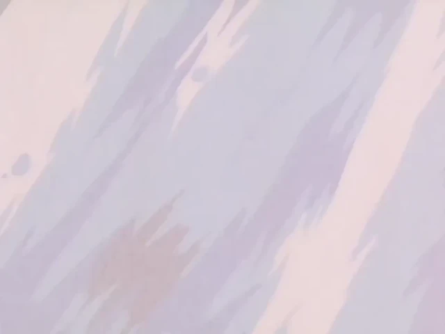 Episódio 17