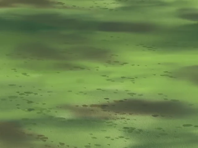 Episódio 141