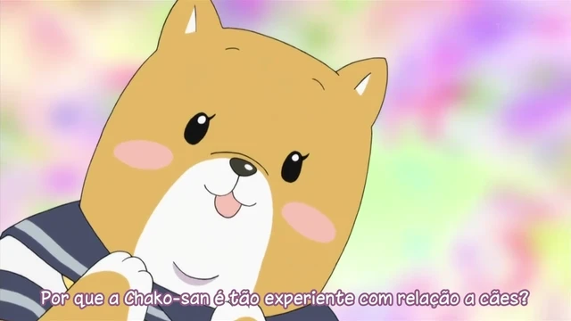 Episódio 16