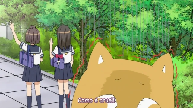 Episódio 24