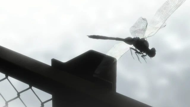 Episódio 20