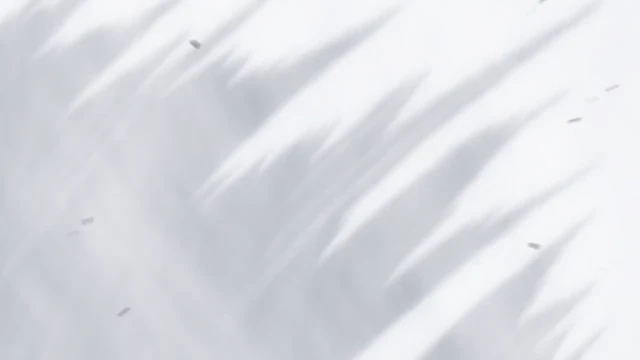 Episódio 13