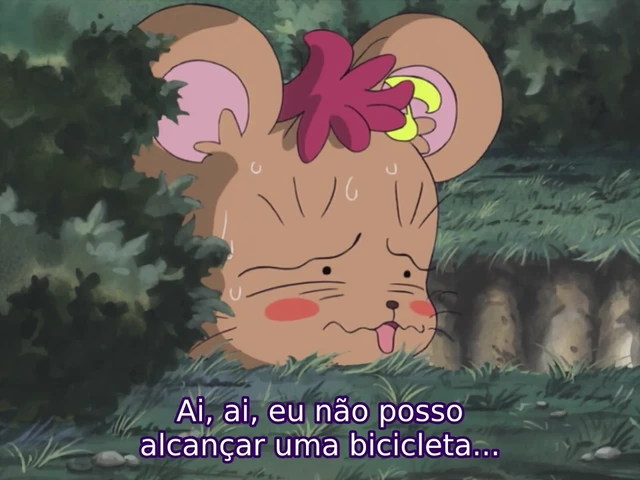 Episódio 29