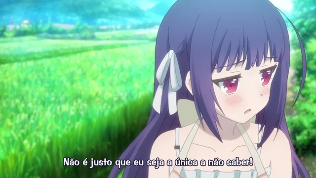 Episódio 11