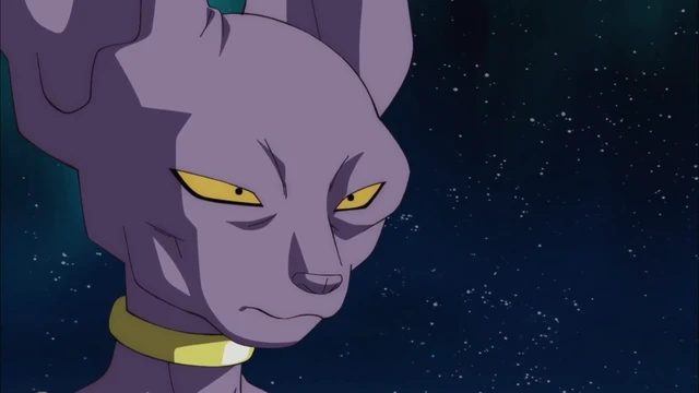 Episódio 12