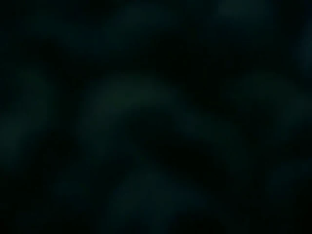Episódio 79