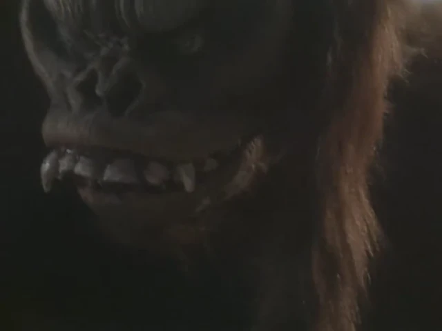 Episódio 28