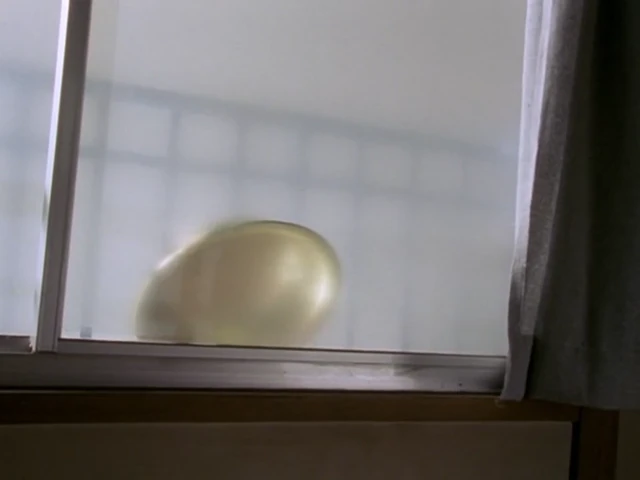 Episódio 29