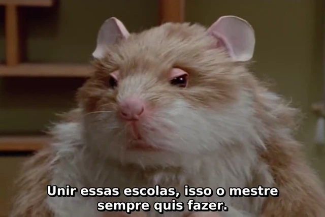 Episódio 23
