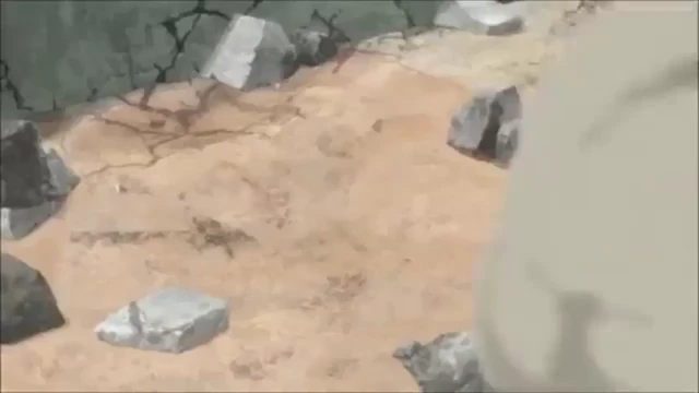 Episódio 21
