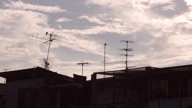 Episódio 39