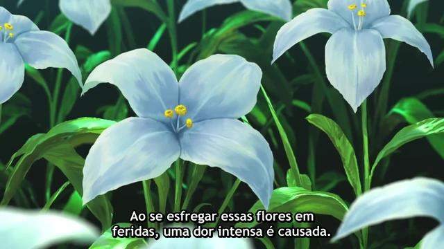 Episódio 13