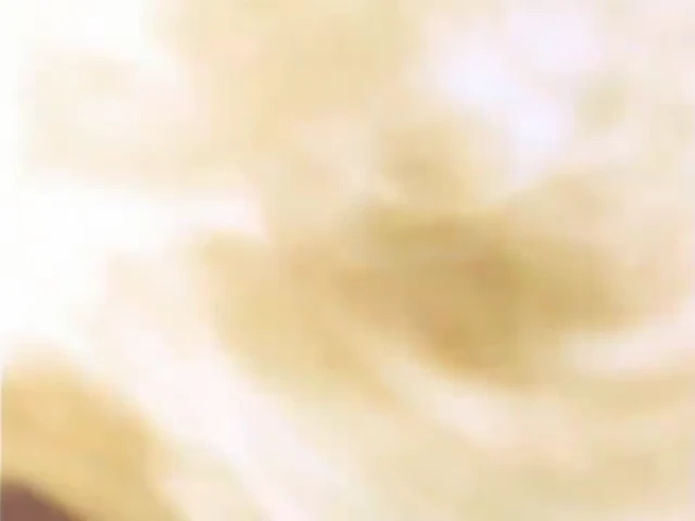 Episódio 26