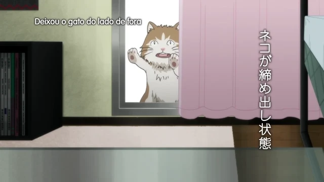 Episódio 11