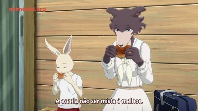 Episódio 08