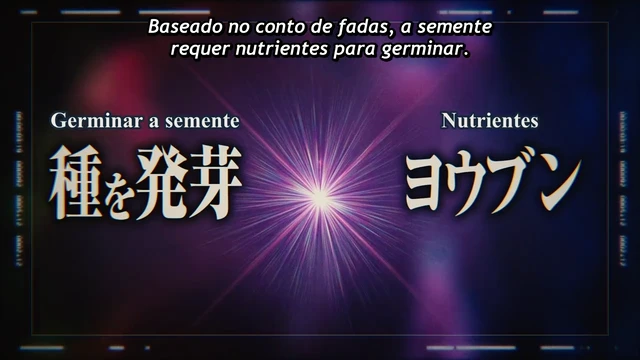 Episódio 08