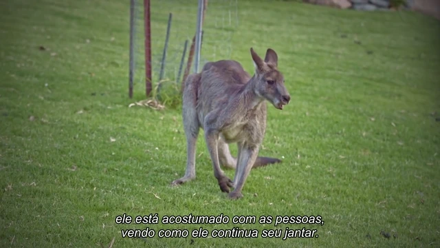 Episódio 07