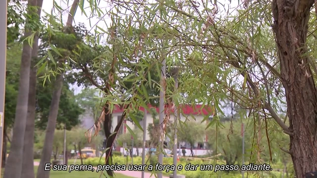 Episódio 15