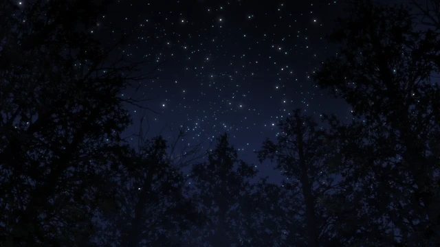 Episódio 11