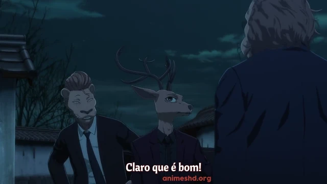 Episódio 11