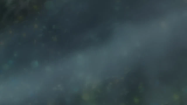 Episódio 20