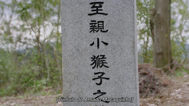 Episódio 40