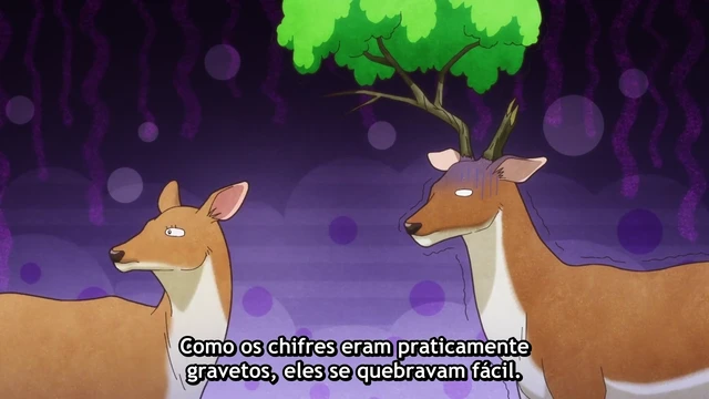 Episódio 12
