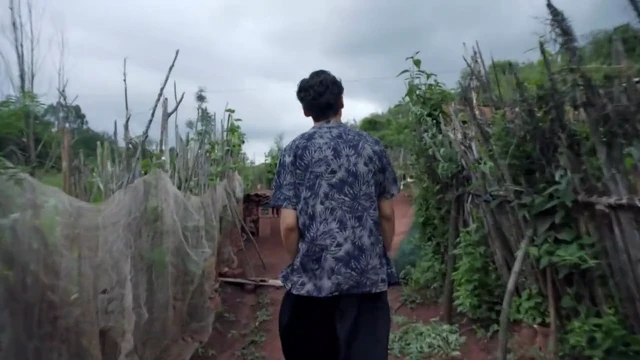 Episódio 22