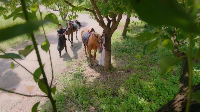 Episódio 29