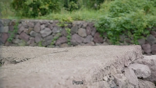 Episódio 25